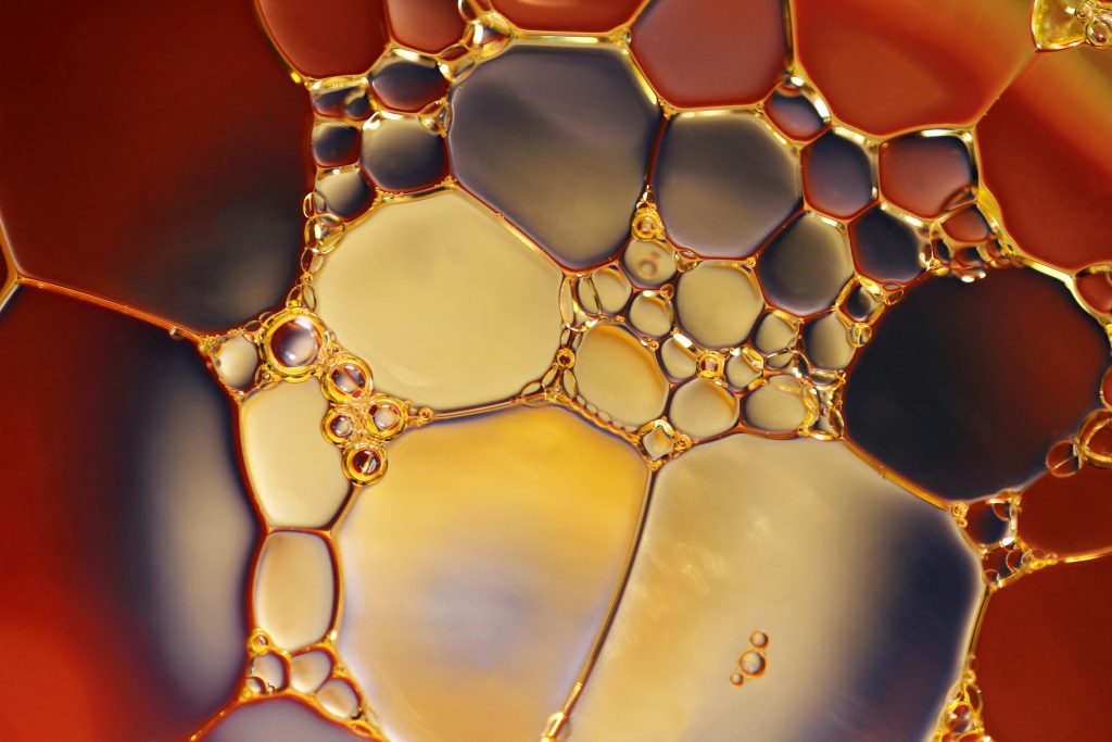 Oil vs. Water-Based Cleansers: Which One Do You Need? 💧✨